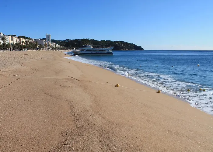 Piso Jover En Primera Linea Del Mar !! 公寓 滨海略雷特